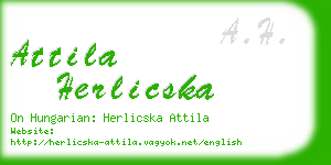 attila herlicska business card